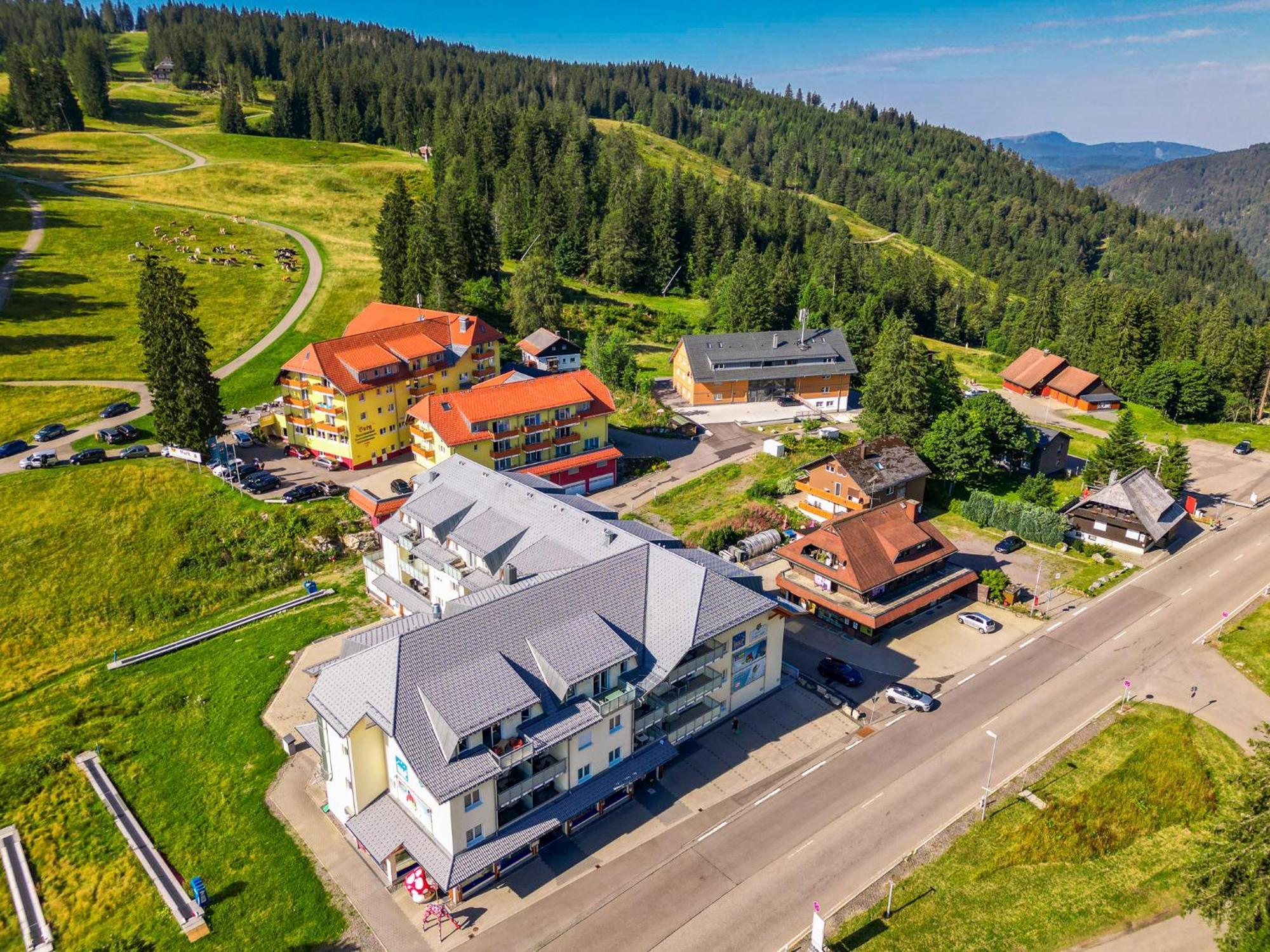 Rinken Feldberg Domizil - Residenz Grafenmatt 아파트 외부 사진